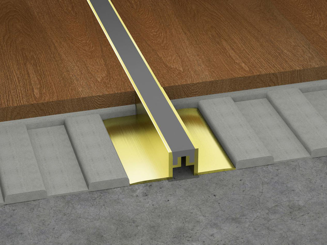 profil décoratif à la maison de plancher de bord en métal de joint en aluminium de mouvement de 2.5cm